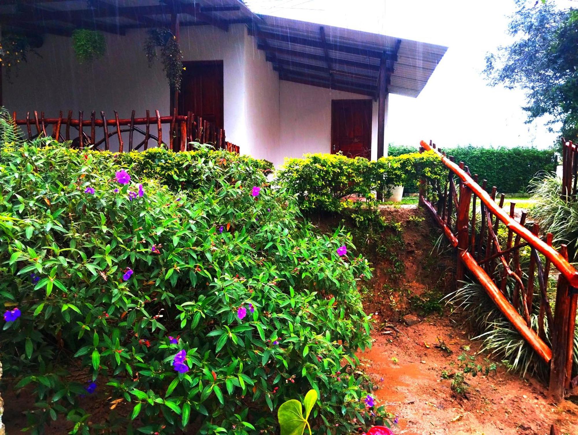Ella Hotel Upper Hill Bagian luar foto