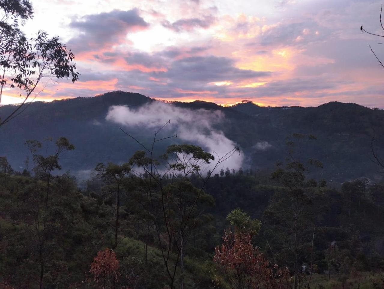 Ella Hotel Upper Hill Bagian luar foto