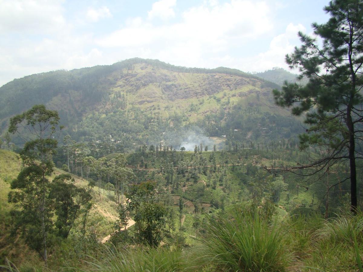 Ella Hotel Upper Hill Bagian luar foto