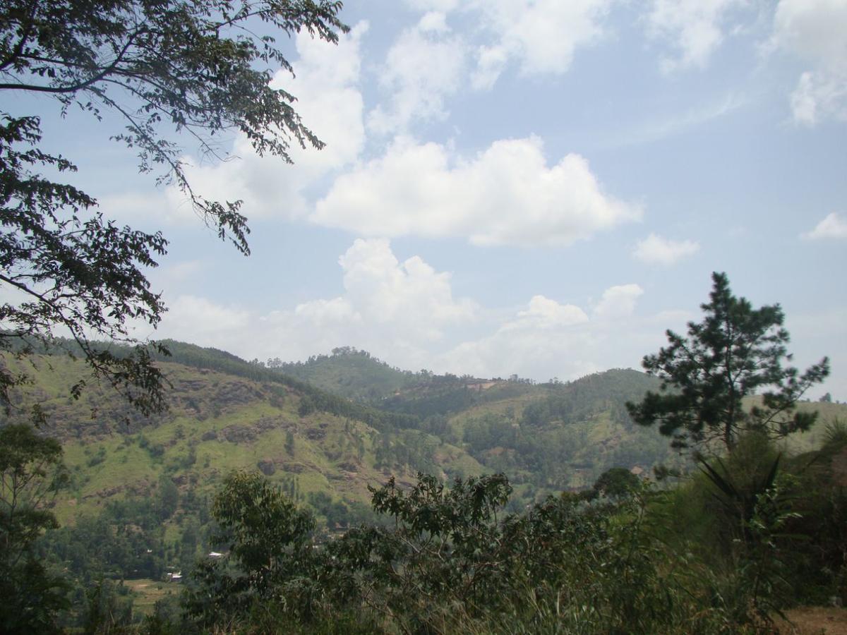 Ella Hotel Upper Hill Bagian luar foto