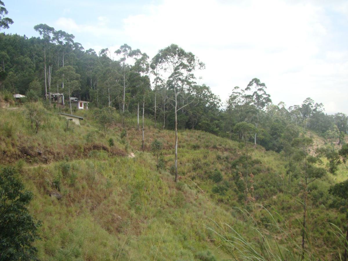 Ella Hotel Upper Hill Bagian luar foto