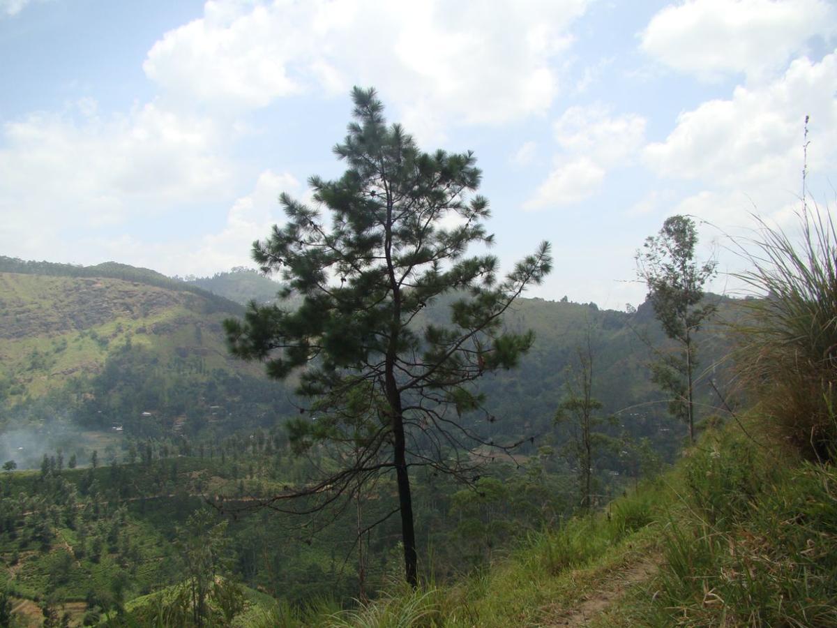 Ella Hotel Upper Hill Bagian luar foto