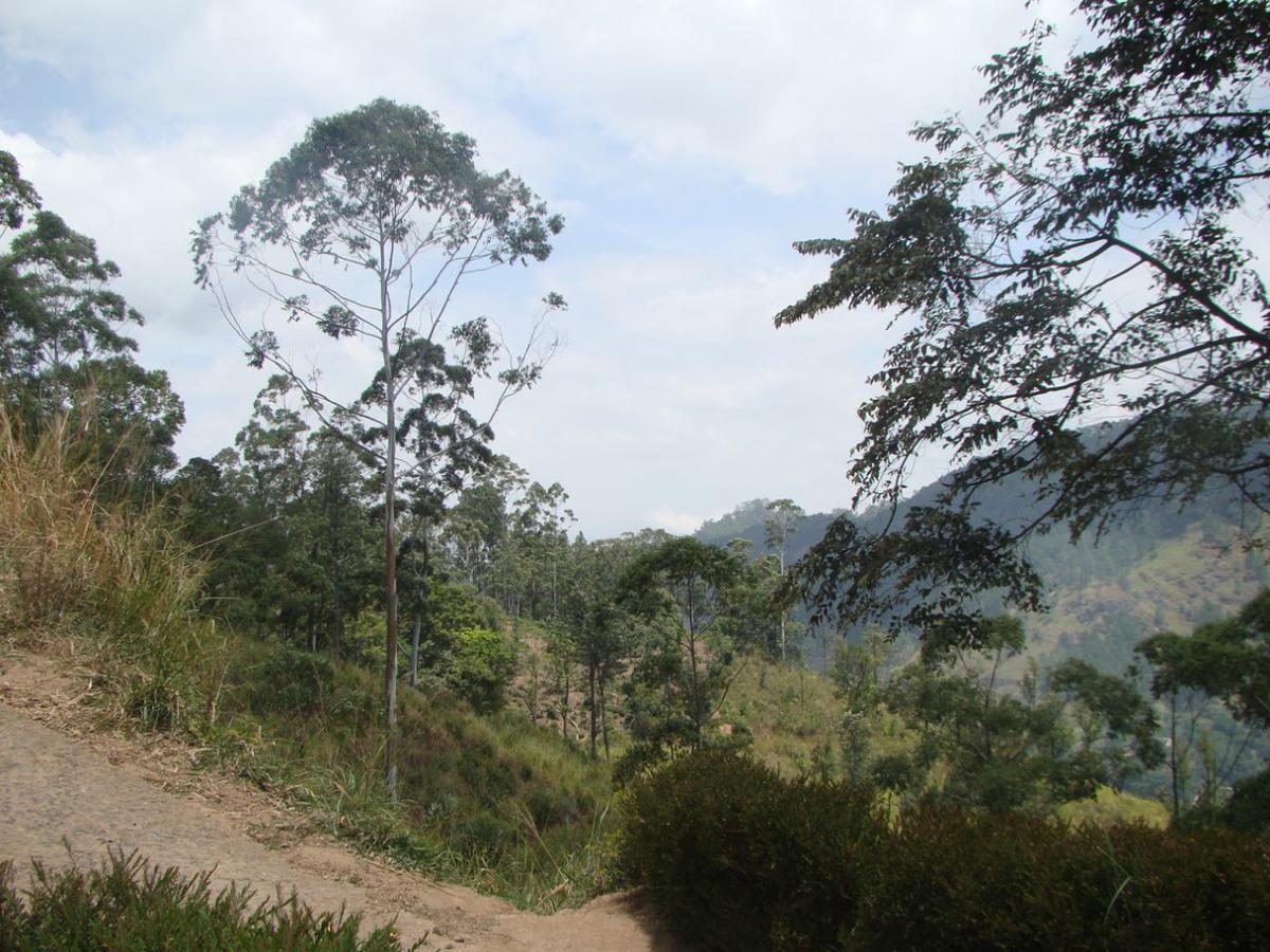 Ella Hotel Upper Hill Bagian luar foto
