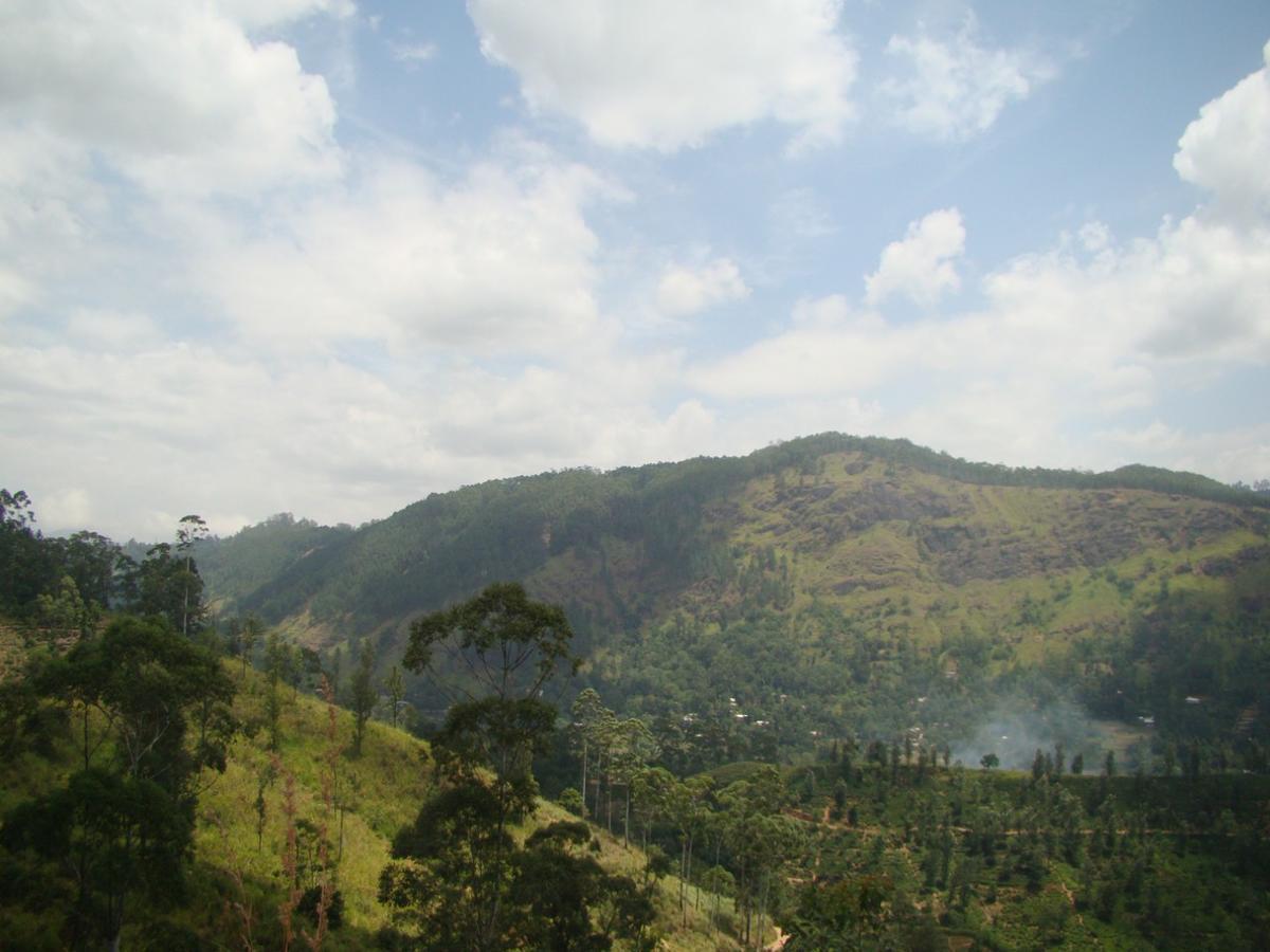 Ella Hotel Upper Hill Bagian luar foto