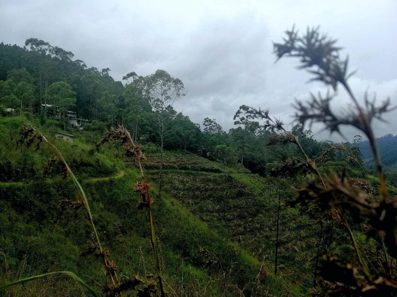 Ella Hotel Upper Hill Bagian luar foto