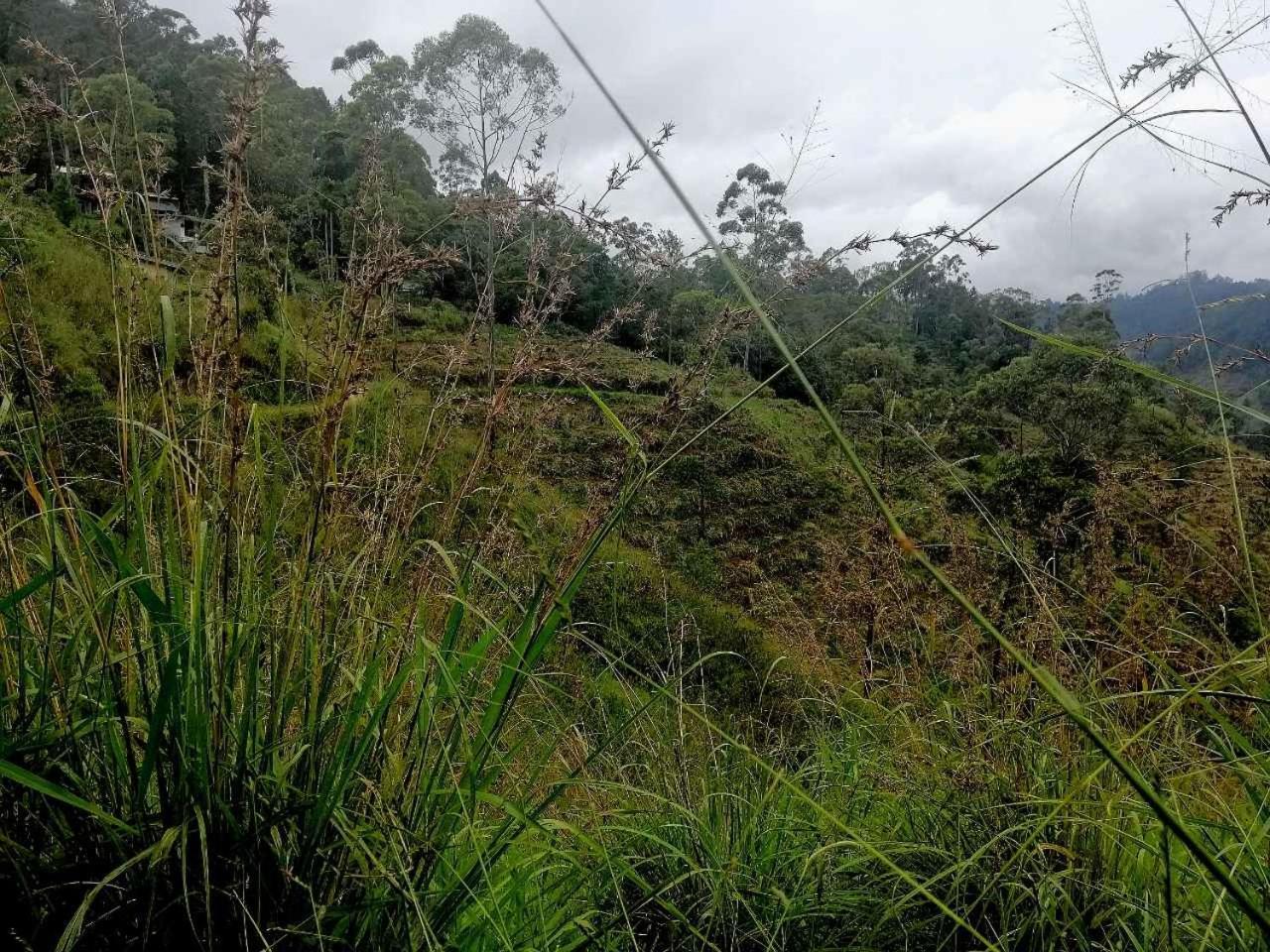 Ella Hotel Upper Hill Bagian luar foto