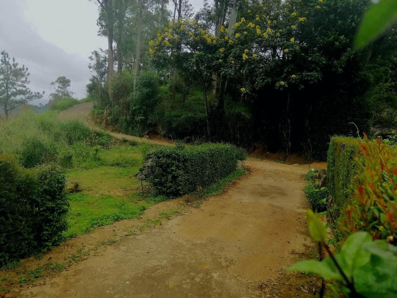 Ella Hotel Upper Hill Bagian luar foto